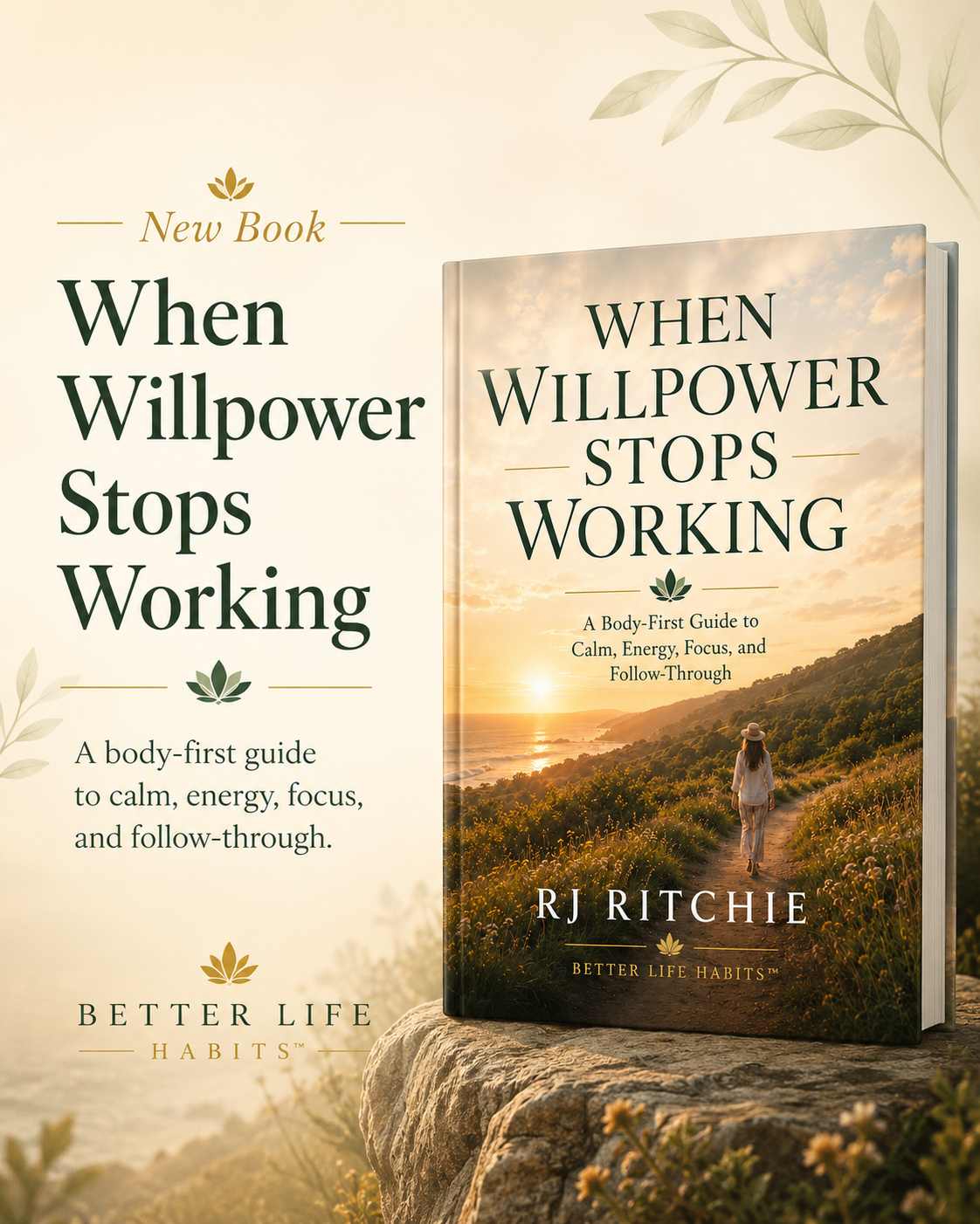 When Willpower Stops Working book display for Better Life Habits.