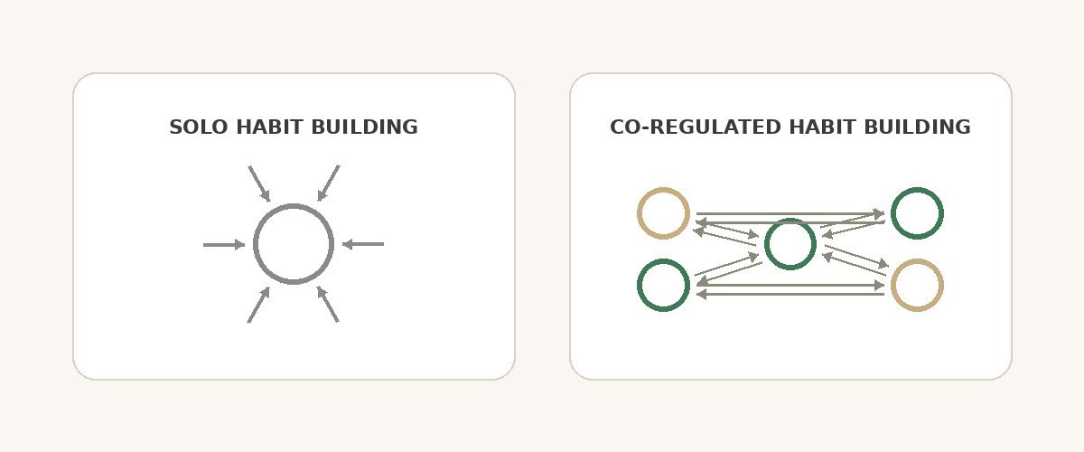 Comparison of solo habit building versus co-regulated habit building, showing isolated nervous system working alone versus interconnected nervous systems supporting each other