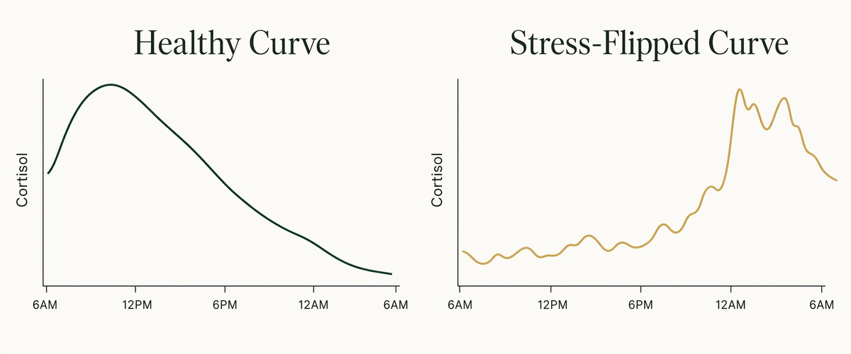 Diagram of healthy cortisol curve vs stress-flipped cortisol curve