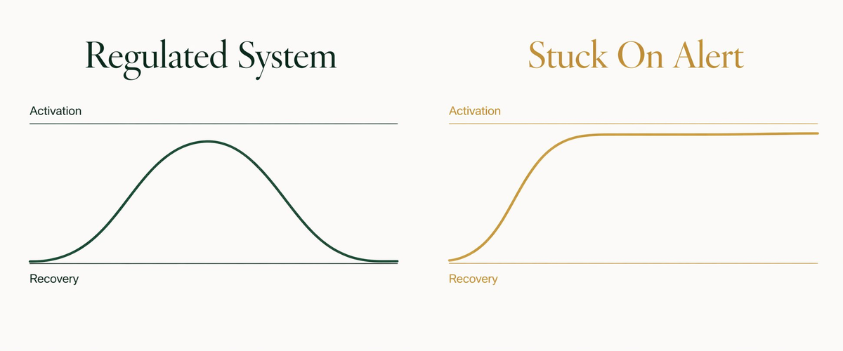 Sympathetic vs parasympathetic state comparison
