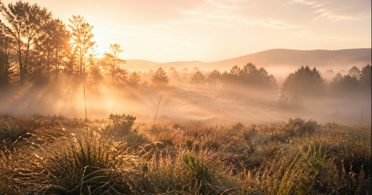 Warm sunrise with morning mist representing cortisol reset