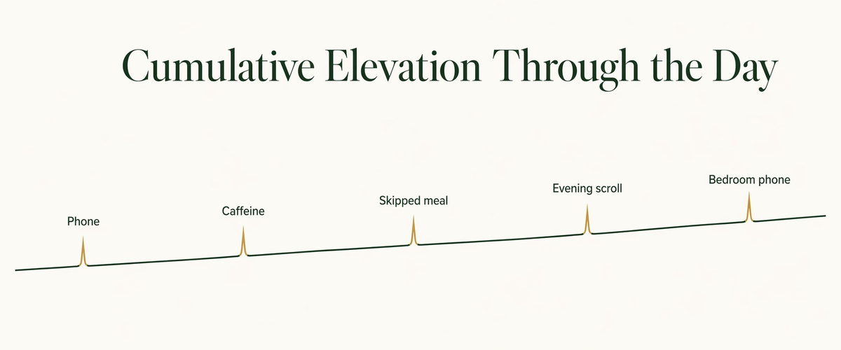 Cortisol timing graph showing impact of common habits