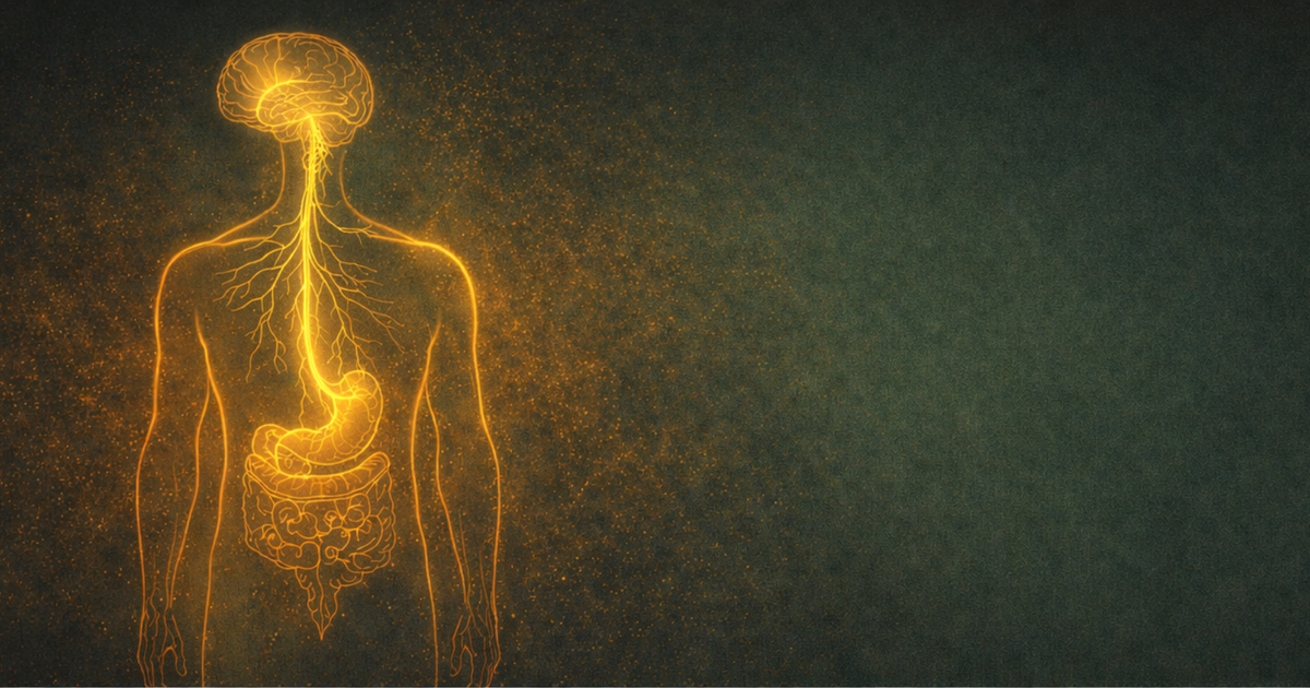 Gold vagus nerve pathway