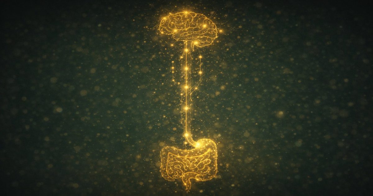 Glowing gold neural pathway connecting a stylized brain to a gut, with bidirectional signals flowing between them against a deep forest green background